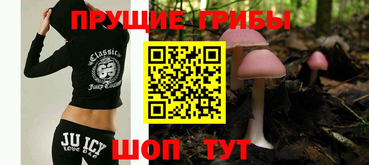 Тулун  Галлюциногенные грибы прущие грибы  Вход с VPN 